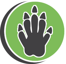 TJs Dead Animal Removal