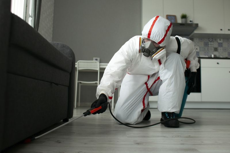 Indoor Removal