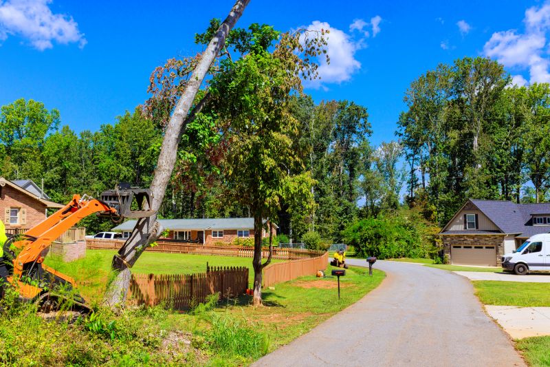 Dead Animal Removal in Residential Areas