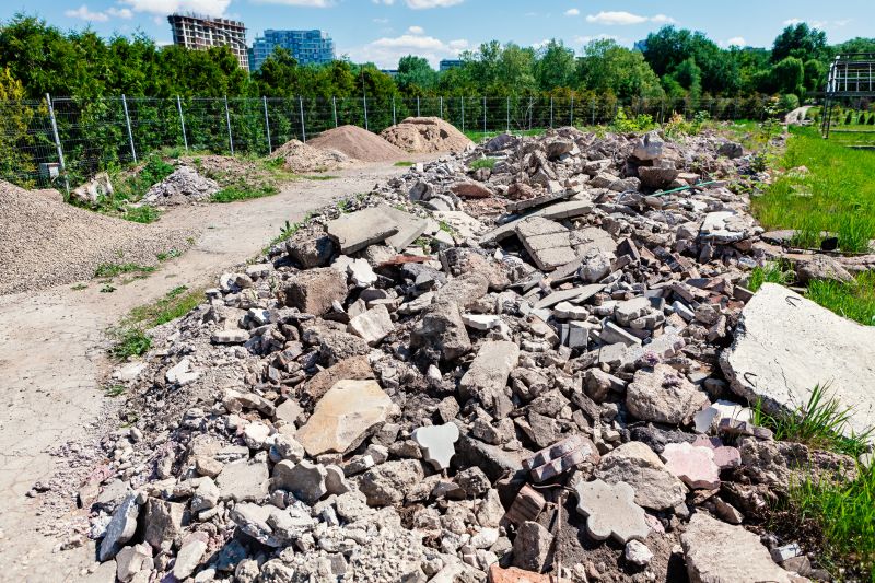 Sanitized Site Post-Removal