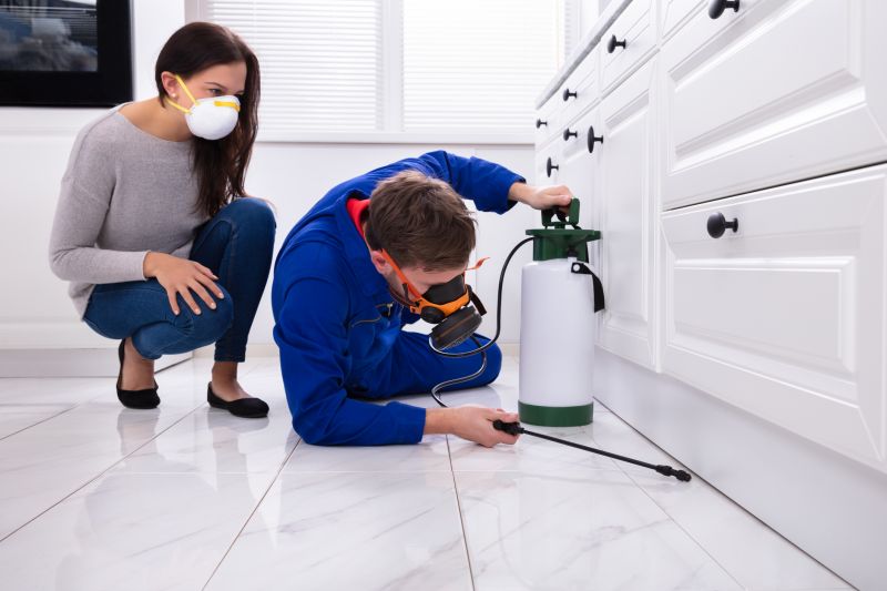 Mites Extermination in Katy, TX