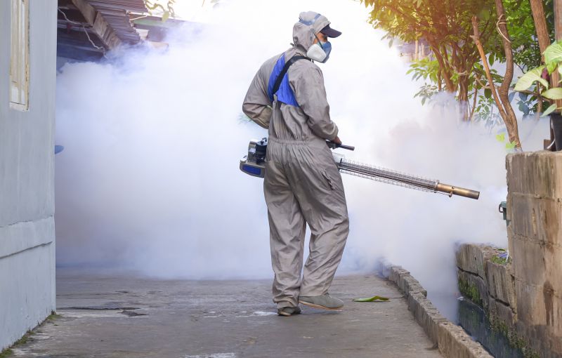 Mosquitoes Pest Control in Fort Worth, TX