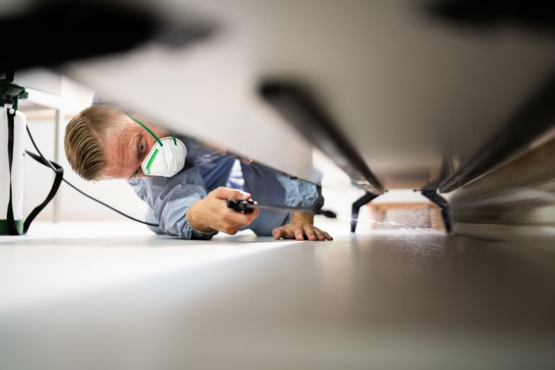 Pest Extermination Service in Katy, TX