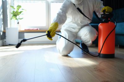 Spider Control Service in New Braunfels, TX