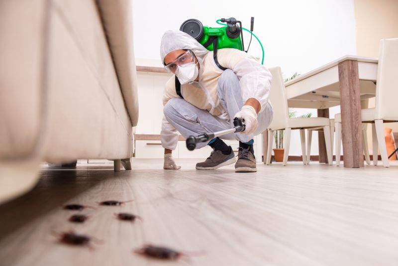 Pest Control Companies
