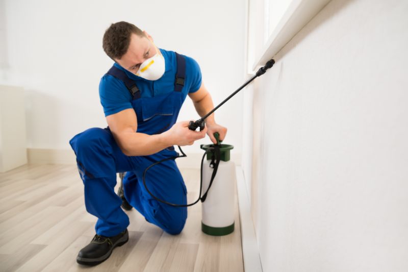 Yard Insect Treatment in Frisco, TX